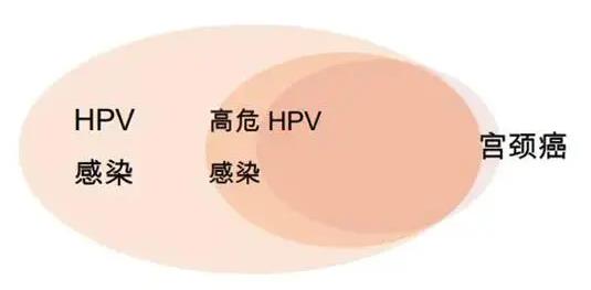 HPV潛伏期長(zhǎng)陰難 新科技新臺(tái)階康復(fù)之路迎曙光