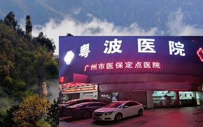 廣州聾啞專家李全義主任引起的嗎