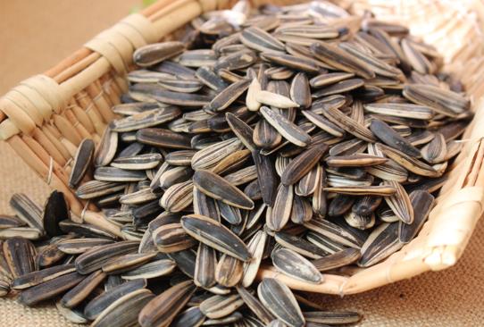 吃瓜子嘴麻了什么時(shí)候吃才會(huì)好?吃瓜子舌頭麻怎么辦?