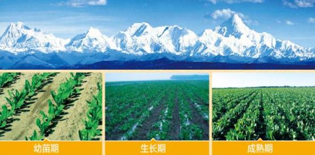從腸道健康到國民免疫,正生賦能大健康產(chǎn)業(yè)