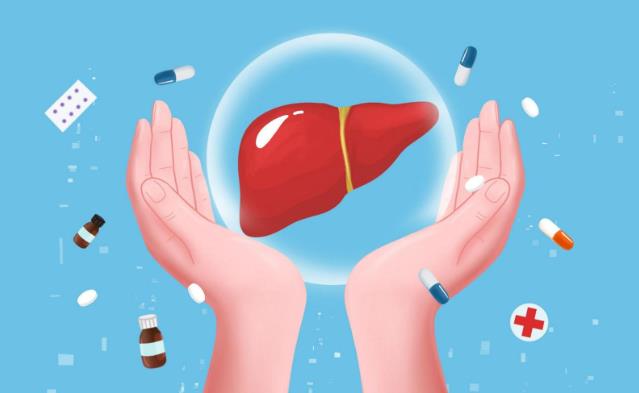 化學性肝損傷是什么?補充益肝營養(yǎng),湯臣倍健健安適有用處