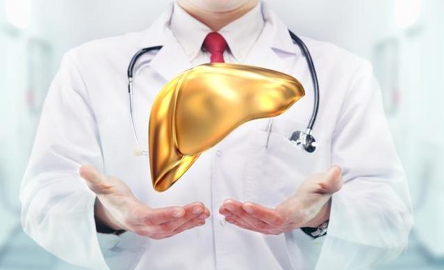 天然食療科學(xué)養(yǎng)肝 利孚頤甘元為保肝護(hù)航