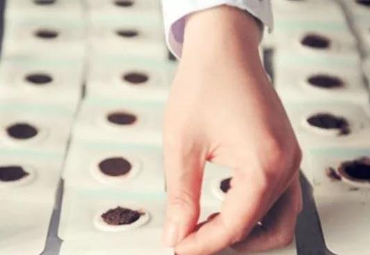 什么人適合貼三伏貼?老人可以貼三伏貼嗎?