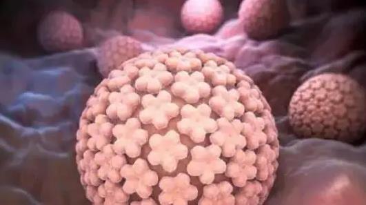 上萬名HPV患者受益 HPV或成歷史