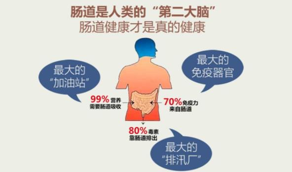 國(guó)?祰(guó)藥暢護(hù)士,常吃腸健康,無毒一身輕