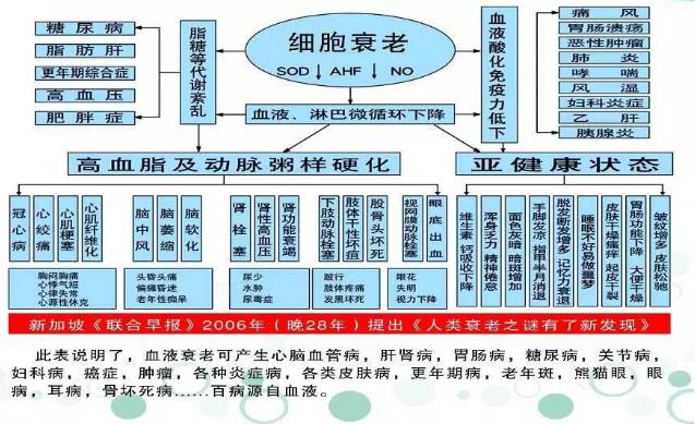 血液健康需凈化 專業(yè)權(quán)威明醫(yī)方