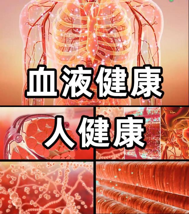 血液健康需凈化 專業(yè)權(quán)威明醫(yī)方