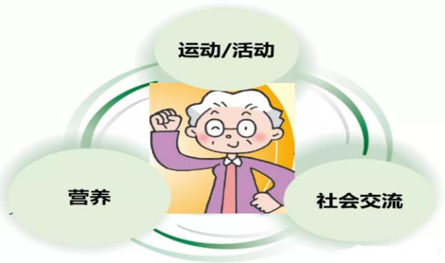 中老年肌肉流失怎么補救 科學預防很關鍵