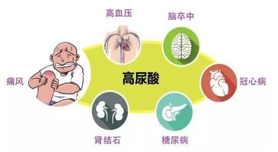 痛風(fēng)治療——下一個大健康產(chǎn)業(yè)風(fēng)口!康呤黃精與您攜手并進(jìn)。