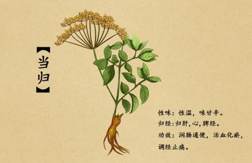 緩解便秘小能手,當(dāng)屬好健時清好清暢