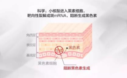 花還開帶你揭秘祛斑踩雷的六大“陷阱”