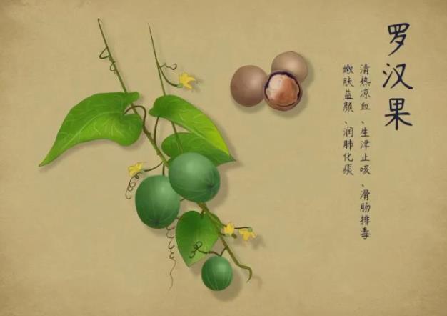【北京豐益肛腸醫(yī)院中醫(yī)科】它是人體清道夫,清熱解暑,去火養(yǎng)顏,還能輕松排出體內(nèi)毒素~