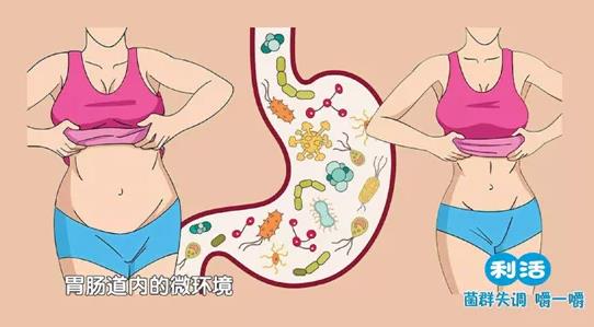 一直減肥一直胖?江中利活乳酸菌素片幫你清除障礙
