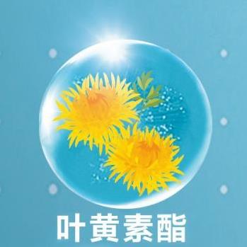 葉黃素酯的功效與作用是什么?如何補(bǔ)充