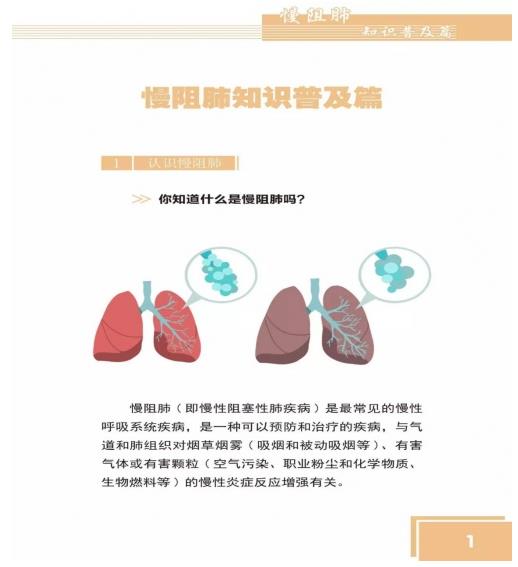 熏樂草本霧化器:科技+時尚,守護(hù)肺部健康!