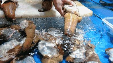 喀什專業(yè)男科醫(yī)院哪家好?喀什曙光醫(yī)院是正規(guī)男科醫(yī)院?