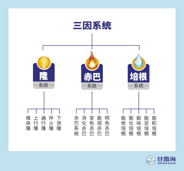 不良情緒要重視,甘露海三因療法平衡身心治抑郁