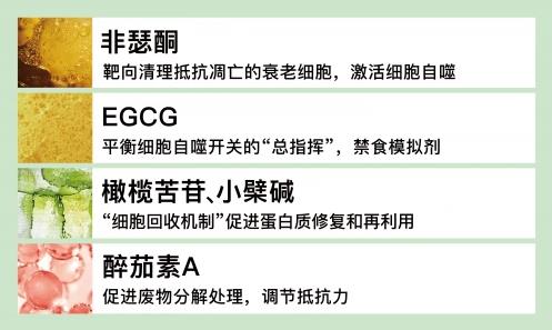 抗衰竟然要從細(xì)胞抓起?醫(yī)學(xué)教授帶你健康開(kāi)掛!SRW的健康秘密武器