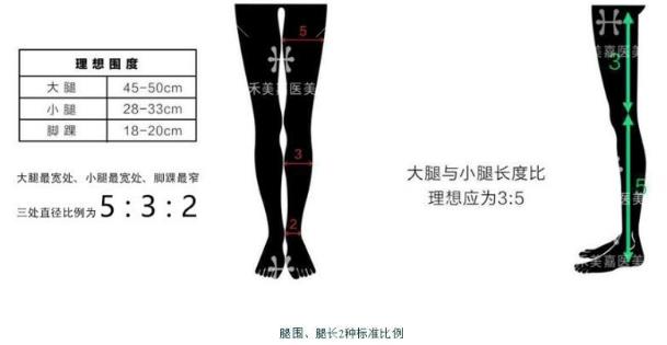 吸脂醫(yī)生關(guān)幾夢:吸脂瘦腿可以解決肥胖腿型嗎?
