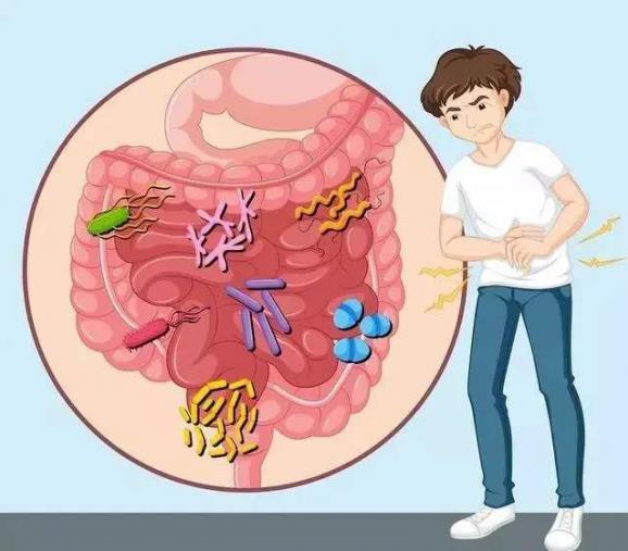 呼和浩特市東大肛腸醫(yī)院專家講解胃腸不好的表現(xiàn)
