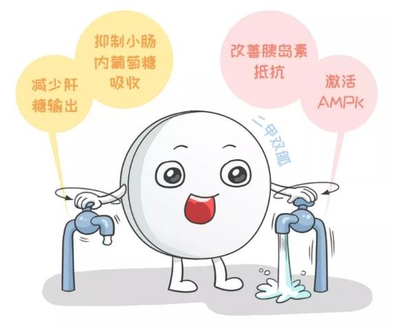 血糖正常了,還要繼續(xù)服用二甲雙胍嗎?