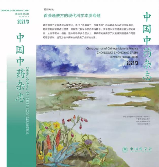 從萬病之源 始于腸道,分析“治未病,從首薈開始”