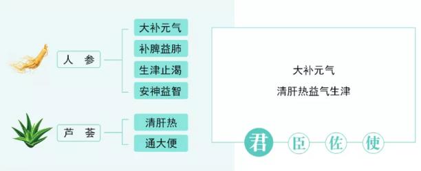 從萬病之源 始于腸道,分析“治未病,從首薈開始”