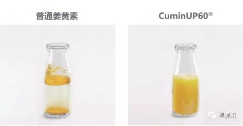 生物利用度突破14倍!看琛藍(lán)健康姜黃素的創(chuàng)新研究與進(jìn)展