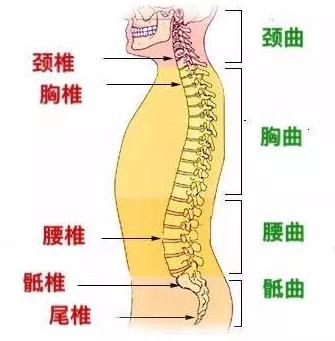 重慶哪個(gè)醫(yī)院骨科厲害?重慶紅樓醫(yī)院骨科療效鑄就金口碑