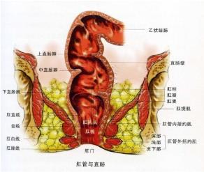 武漢馬應(yīng)龍醫(yī)院靠譜嗎 保持健康享受健康