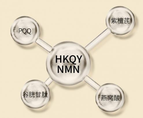 NMN功效真實(shí)可靠,美國(guó)HKQY NMN 12000受熱捧