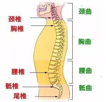 重慶骨科哪個(gè)好?「重慶紅樓骨科醫(yī)院」靠不靠譜?