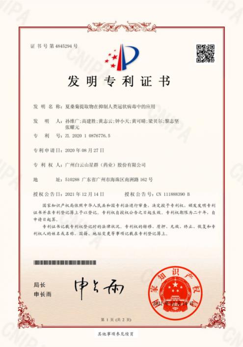 從古方智慧到非遺名方,星群夏桑菊的文化傳承之路