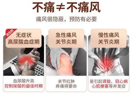 痛風(fēng)是怎么形成的?三諾尿酸儀準(zhǔn)不準(zhǔn)?了解這幾點做好預(yù)防