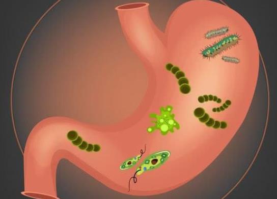 胃病是因?yàn)楦腥玖擞拈T螺桿菌嗎?查幽門螺桿菌怎么查