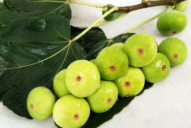 痔瘡用什么藥最好使,醫(yī)生推薦這款古方中藥,輕松根治痔瘡