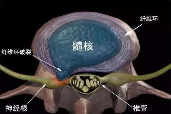 重慶紅樓醫(yī)院骨科收費(fèi)高嗎_評(píng)價(jià)好不好_對(duì)癥治療醫(yī)術(shù)精湛