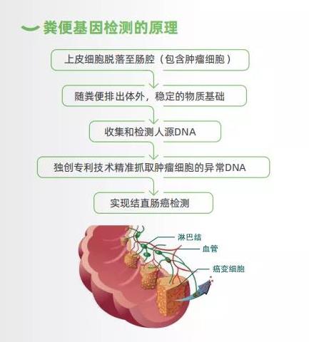 除了腸鏡檢查腸癌,我們還可以做糞便DNA檢測(cè)做腸癌早篩