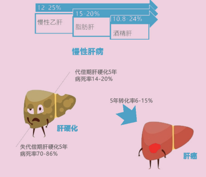 開創(chuàng)肝硬化院外檢測的先河 甘先知保護好你的小心“肝” image.png
