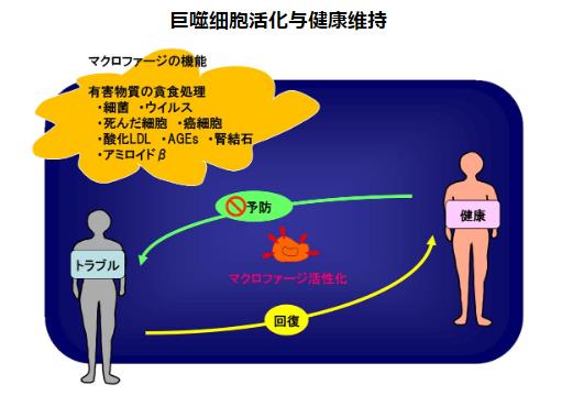 神奇的物質(zhì)LPS—被譽(yù)為21世紀(jì)醫(yī)學(xué)界最偉大的發(fā)現(xiàn)