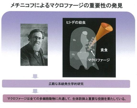 神奇的物質(zhì)LPS—被譽(yù)為21世紀(jì)醫(yī)學(xué)界最偉大的發(fā)現(xiàn)