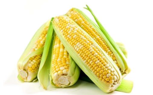 多吃玉米可以抗衰老 玉米的功效