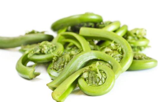 野菜真的比普通蔬菜更有營養(yǎng)嗎 吃蕨菜會致癌是真的嗎