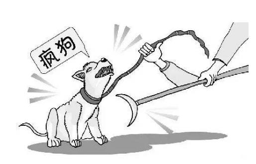 流浪狗咬11學(xué)生 哪些情況需要注射狂犬疫苗