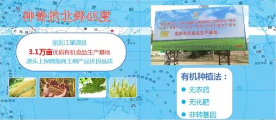殷商王朝食療YSDT 發(fā)布會盛大開啟