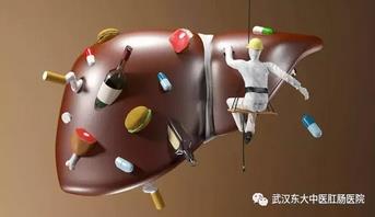 武漢東大肛腸醫(yī)院:關于人體五臟你知道多少?