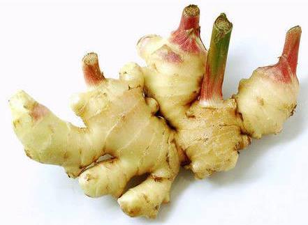 狐臭吃什么好?怎樣才能治好狐臭?