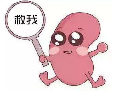 北京聯(lián)科中醫(yī)腎病醫(yī)院提醒您關(guān)注兒童腎臟健康