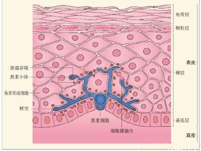 長沙華山皮膚病醫(yī)院正規(guī)嗎?專業(yè)正規(guī)杜絕亂收費(fèi)
