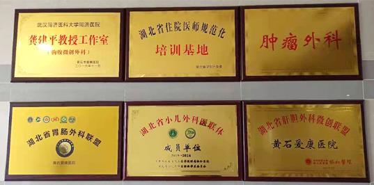 北京愛康醫(yī)療集團(tuán)專家怎么樣?成功完成“腹腔鏡下全胃切除+區(qū)域淋巴結(jié)清掃”手術(shù)
